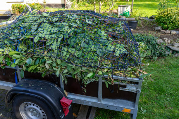 Best Hoarding Cleanup  in Ely, MN